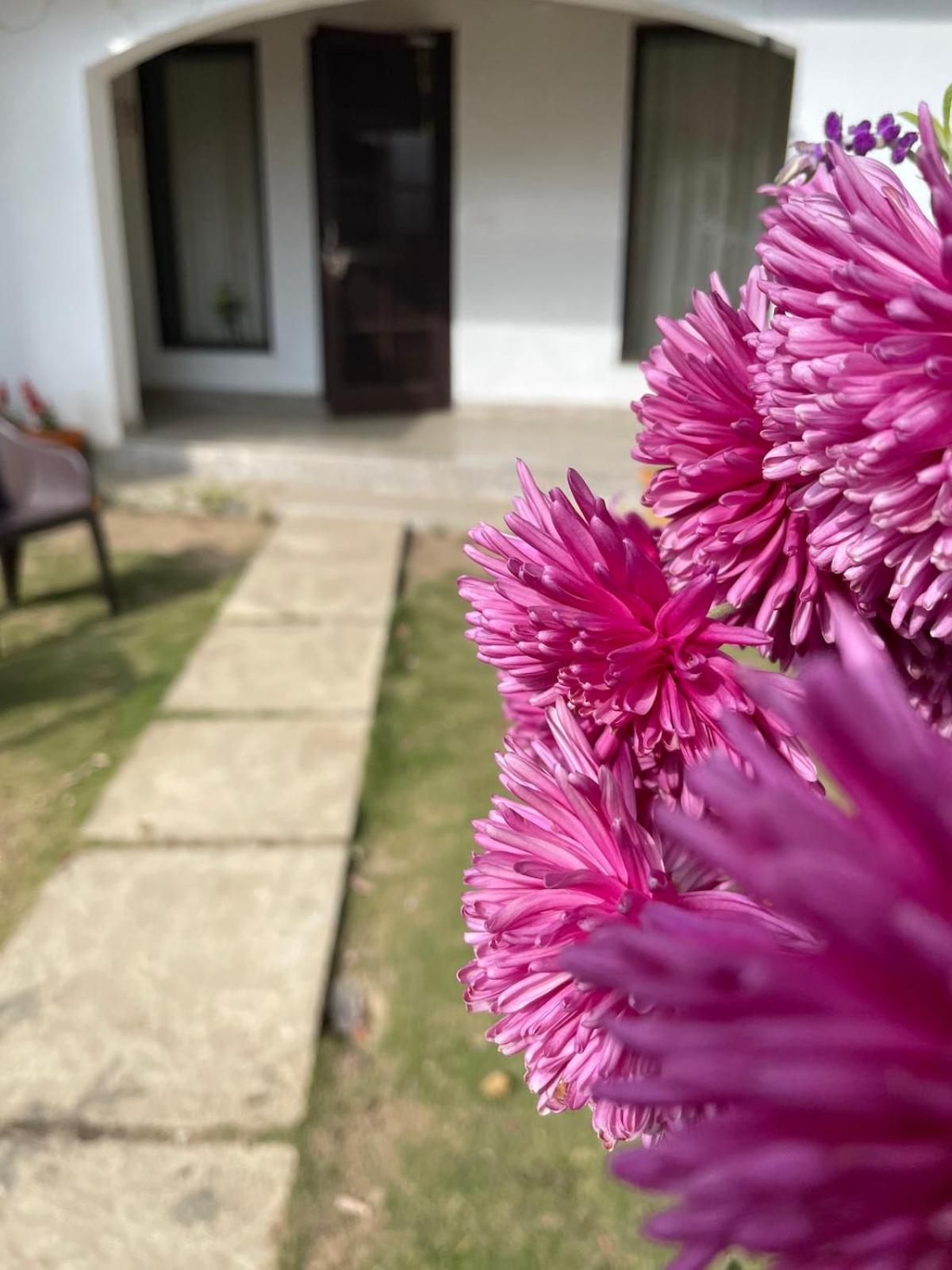 Kafal Tree Home Stay - Pet Friendly Bhowali Exterior photo